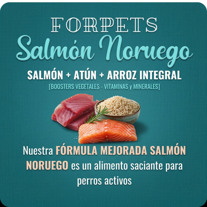 FP SALMÓN 2048×2048
